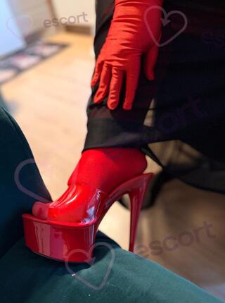 MY LADY - escort Gliwice