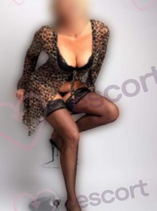 POCAUNKI - escort Radom