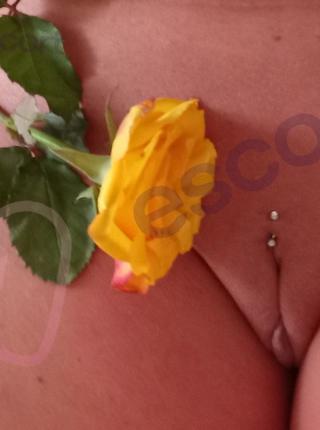 Nowa Uwielbiam Minetkę. - escort Konin