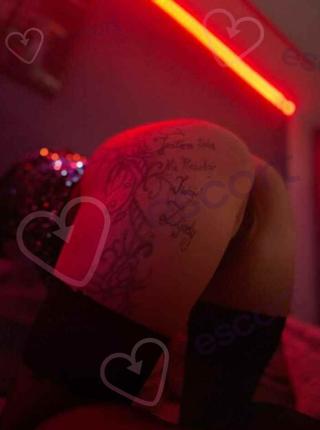 24h kotka psotka24 h cały czas - escort Lubin