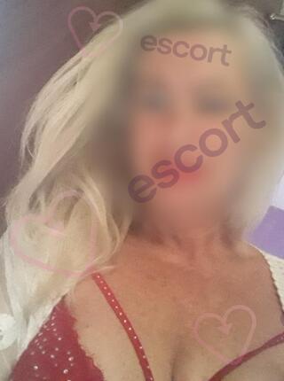 ANAl -Meister - escort Radom