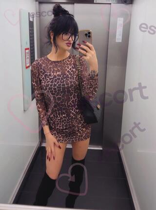 Trans myszka-  ostatni dzień - escort Breslau