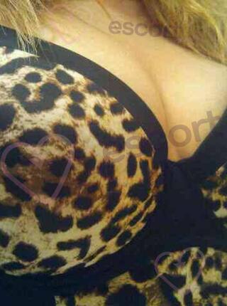 Ciebie chcę - escort 