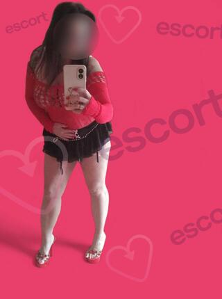 Sara - escort Jarosław