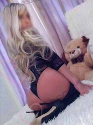 LATICA SLAVIC. - escort Katowice