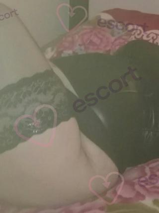WIKA PL - - escort Sanok