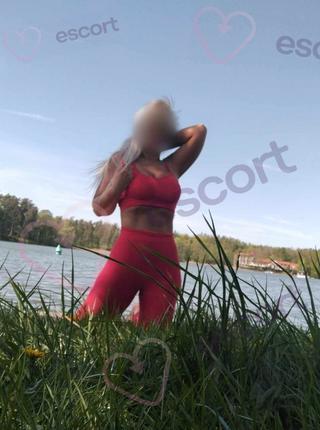 Tylko dziś Ssak leśny - escort Suwałki