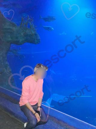 MASAŻYSTA !!! - escort Cracovia