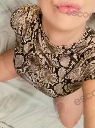 WyjazdyOutcall- Only. - escort Varsovia