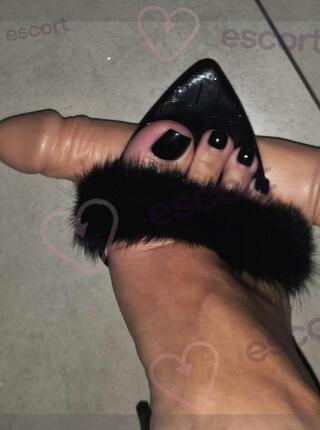 Dominacja! Anal w Twoją stronę ! - escort Cracovie