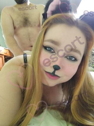 Wolfie Red Fox Official - escort 