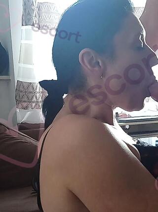 apogee - escort Warschau