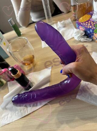 VEX HUB - escort Danzig