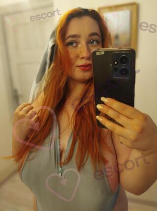 WOLFIE RED FOX OFFICIAL - escort 