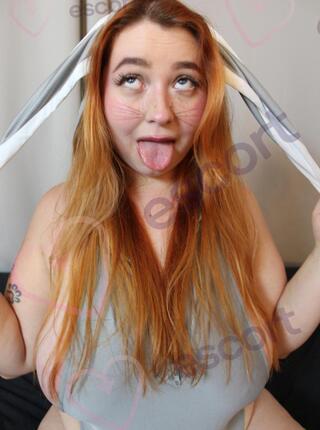 WOLFIE RED FOX OFFICIAL - escort 