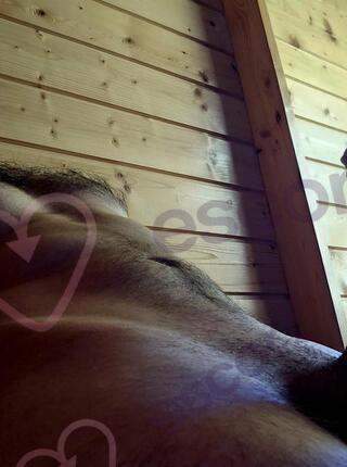 Spory ogier dla napalonej - escort Lodz