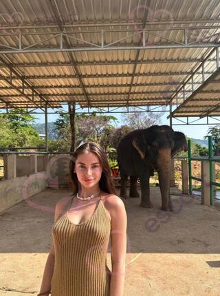 Petra - escort Hamburg