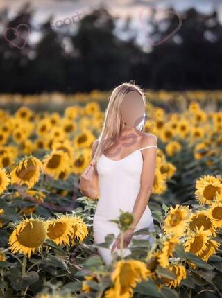 Perfekcyjna Cipka - escort Varsovia