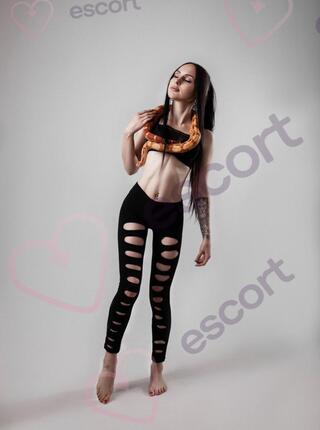 FIT - escort Wroclaw