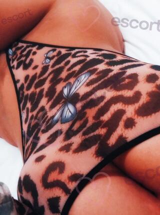 Monika - escort Brodnica