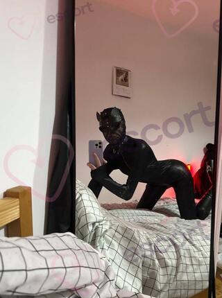 Kobieta Kot - escort 