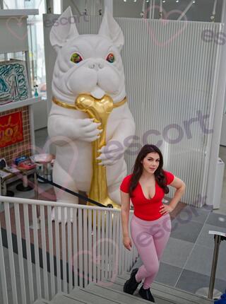 Carmen - escort Madrid