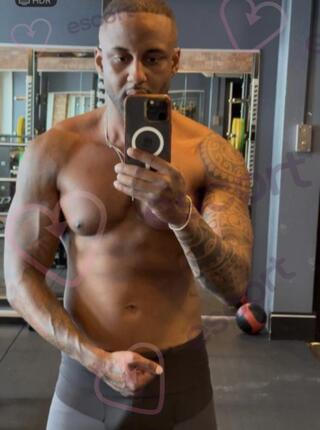 REI ARTHUR 21CM XXL - escort Breslau