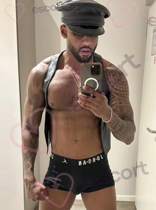 REI ARTHUR 21CM XXL - escort Breslavia