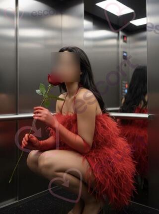 Normalna dziewczyna - escort Cracovie