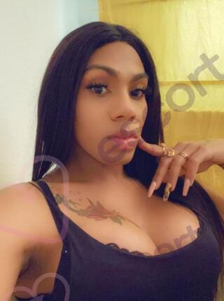 Niki xxl - escort Kattowitz