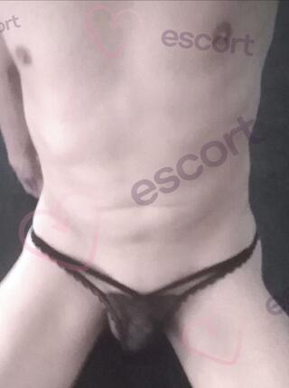 70 / 100 / 120 zł - escort Gliwce