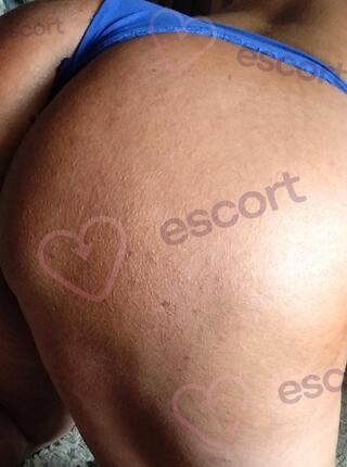 BRAZYLIJSKI tyłeczek. Pokazy, seks tel, smsy,filmy - escort 