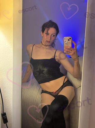 trans online - escort 