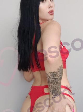 NOWA WIKA - escort 