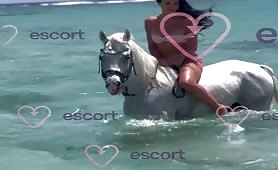 Dubai Escort Star - ogłoszenie towarzyskie Varsovia #5
