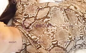 Outcall Wyjazdy - ogłoszenie towarzyskie Warsaw #15