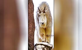 Kamerka i filmy - ogłoszenie towarzyskie  #25