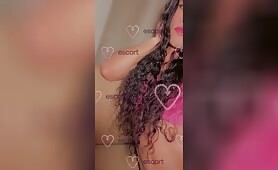 Latin Trans xxl