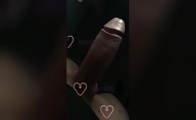 VIPMODEL20CM