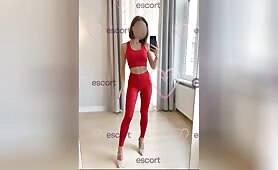 FIT KITTEN