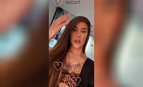 Valenttina XL