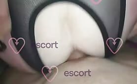 Kocia